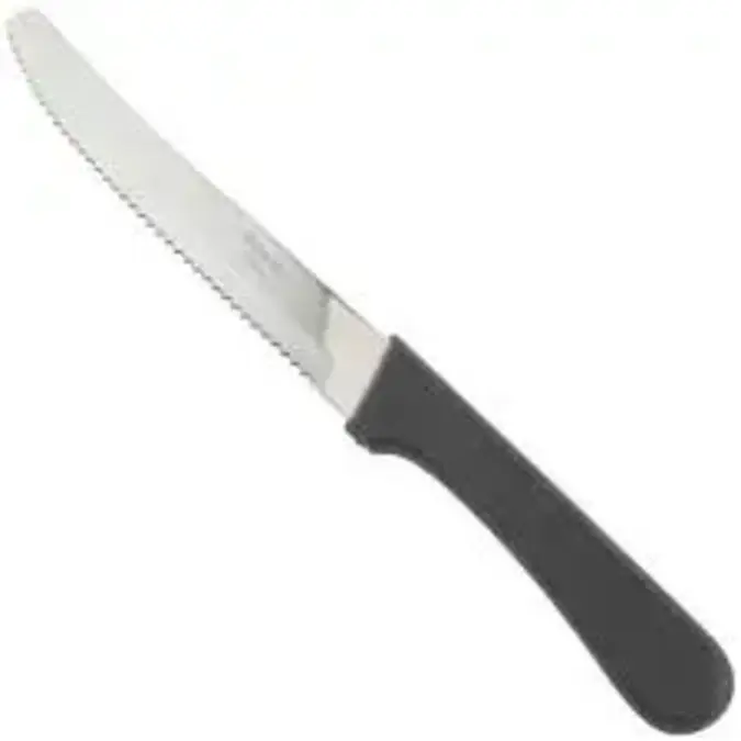 Carrific Steak Knife